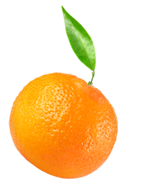 A Propos du Traiteur La Clémentine