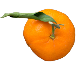 Clémentine Traiteur