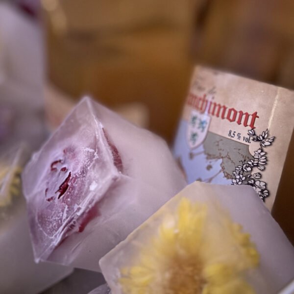 News_Soiree_Festival_Cannes_5